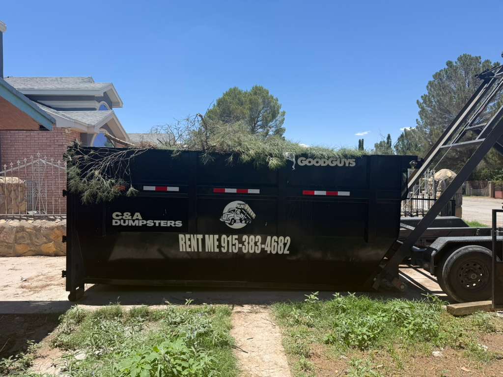 Dumpster delivered for backyard landscaping project with tree branches